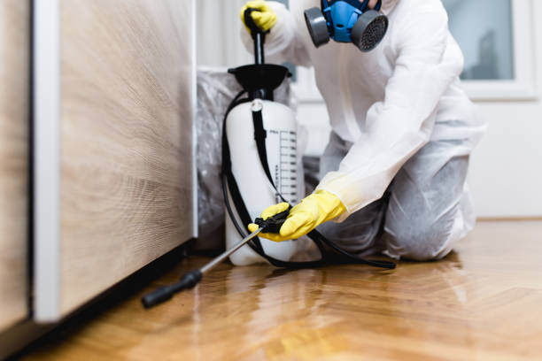 Best Flea Control Services  in Floydada, TX