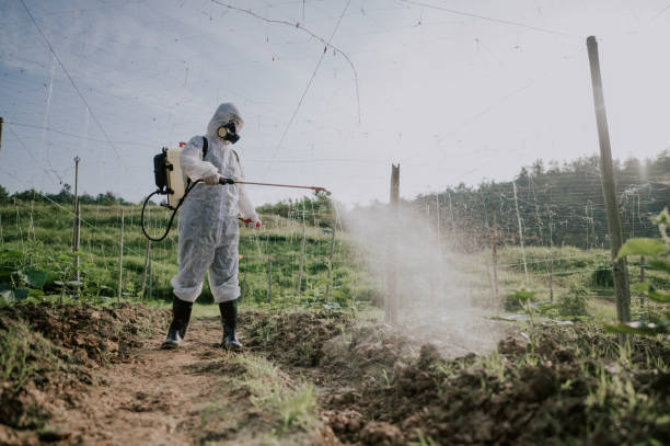 Best Ant Control Services  in Floydada, TX