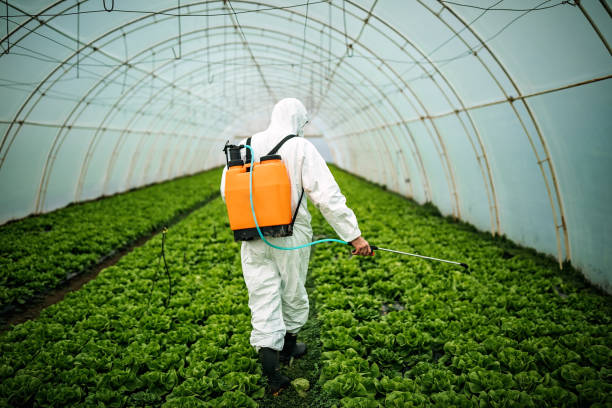 Best Affordable Pest Control Services  in Floydada, TX
