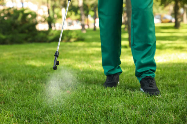 Best Pest Removal Services  in Floydada, TX