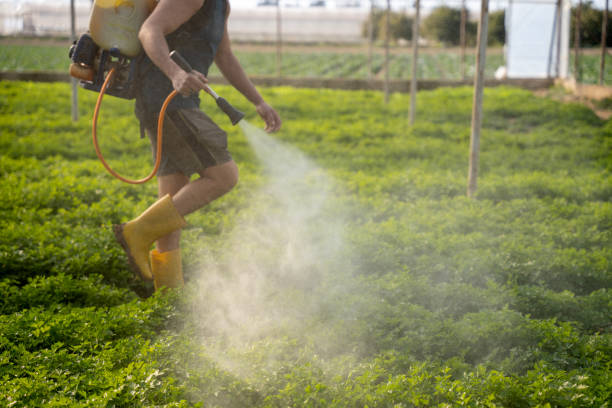 Best Wildlife Control Services  in Floydada, TX