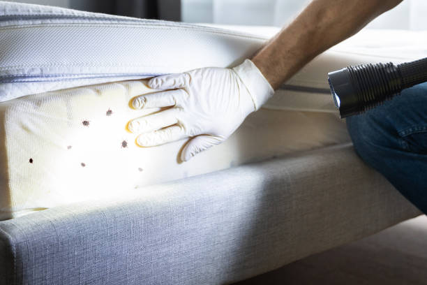 Professional Pest Control in Floydada, TX