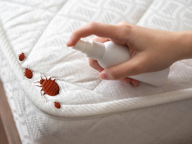 Best Pest Prevention Services  in Floydada, TX