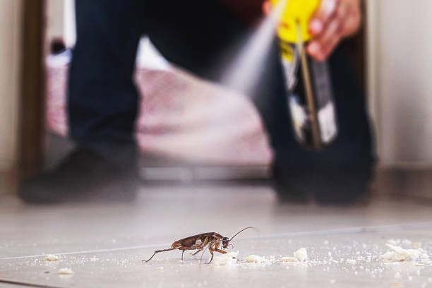 Best Affordable Pest Control Services  in Floydada, TX