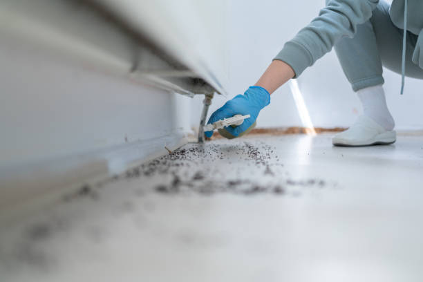 Best Bed Bug Extermination  in Floydada, TX